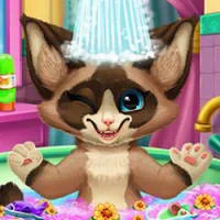 Kitten Bath game screenshot