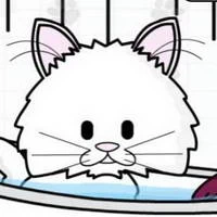 Pet Salon Kitty Care game screenshot